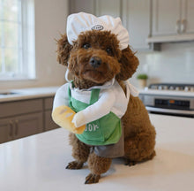 Artisan Baker Pet Costume
