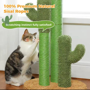 Looking Sharp Cactus Scratch Post