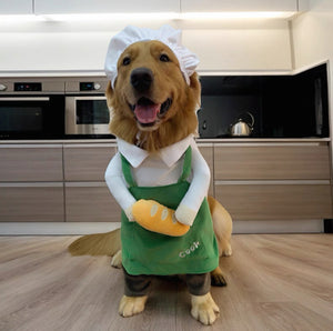 Artisan Baker Pet Costume