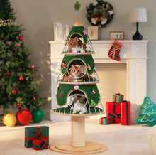 The Best Catmas Tree