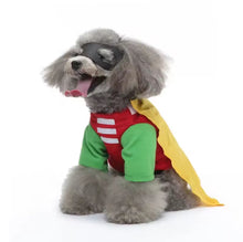 Batman & Robin pet costume Halloween 
