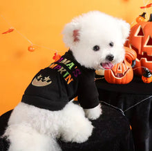 Halloween Pet Cat Dog Sweater 