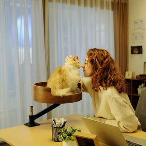 Desktop Cat Bed