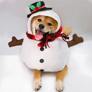 Snowman Pet costume 