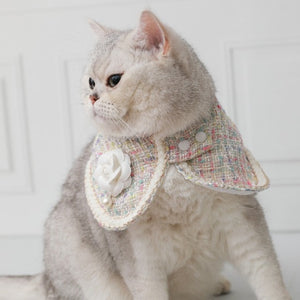 Fashion tweed pet collar -Always Whiskered 