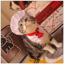 Pet Chef hat & bib costume - Always Whiskered 