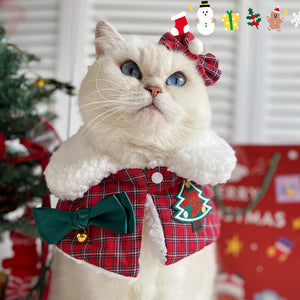 Christmas pet collar fashion - Always Whiskered