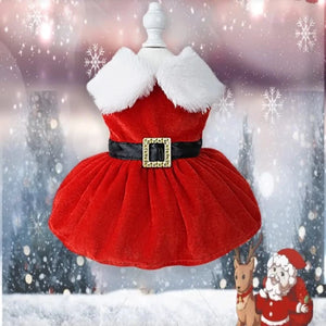 Santa Pet Dress - Always Whiskered