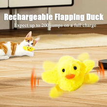 Quacking duck cat toy - Always Whiskered