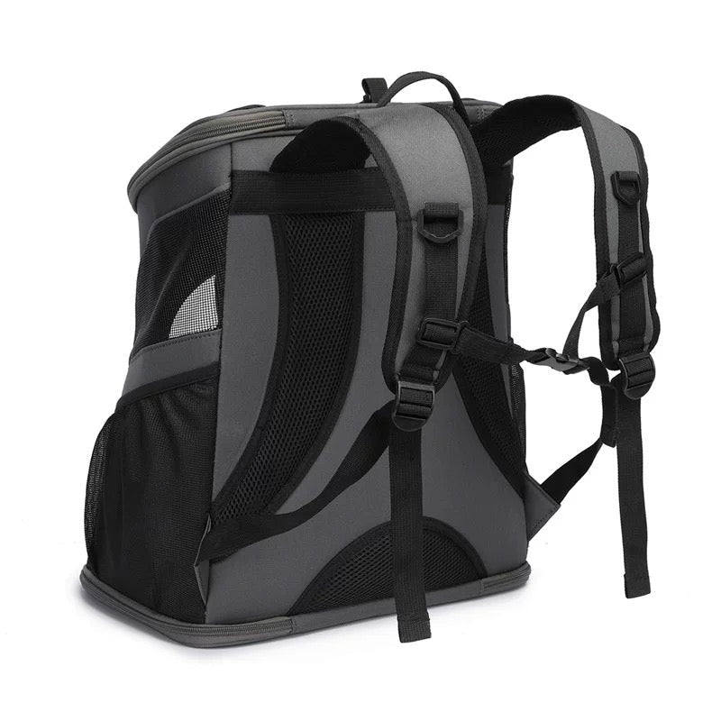 A Whole New World Canvas Pet Backpack - Always Whiskered