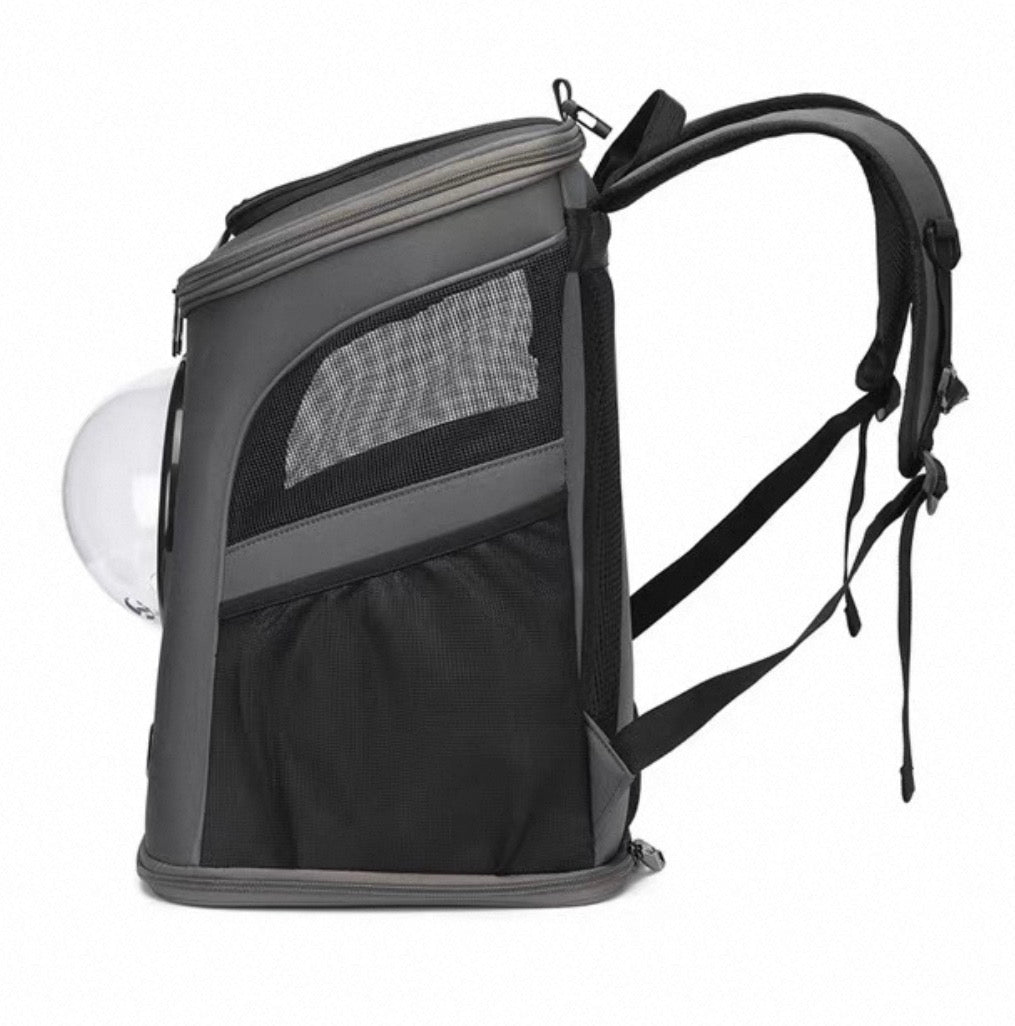 A Whole New World Canvas Pet Backpack - Always Whiskered