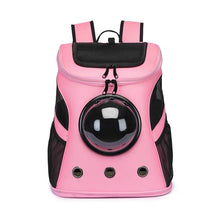 A Whole New World Canvas Pet Backpack - Always Whiskered