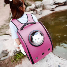 A Whole New World Pet Backpack Carrier - Always Whiskered