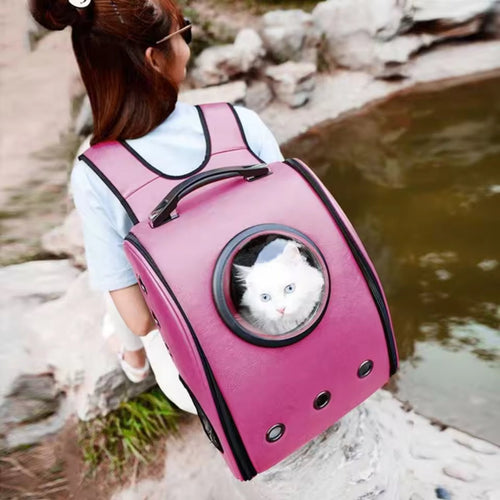 A Whole New World Pet Backpack Carrier - Always Whiskered