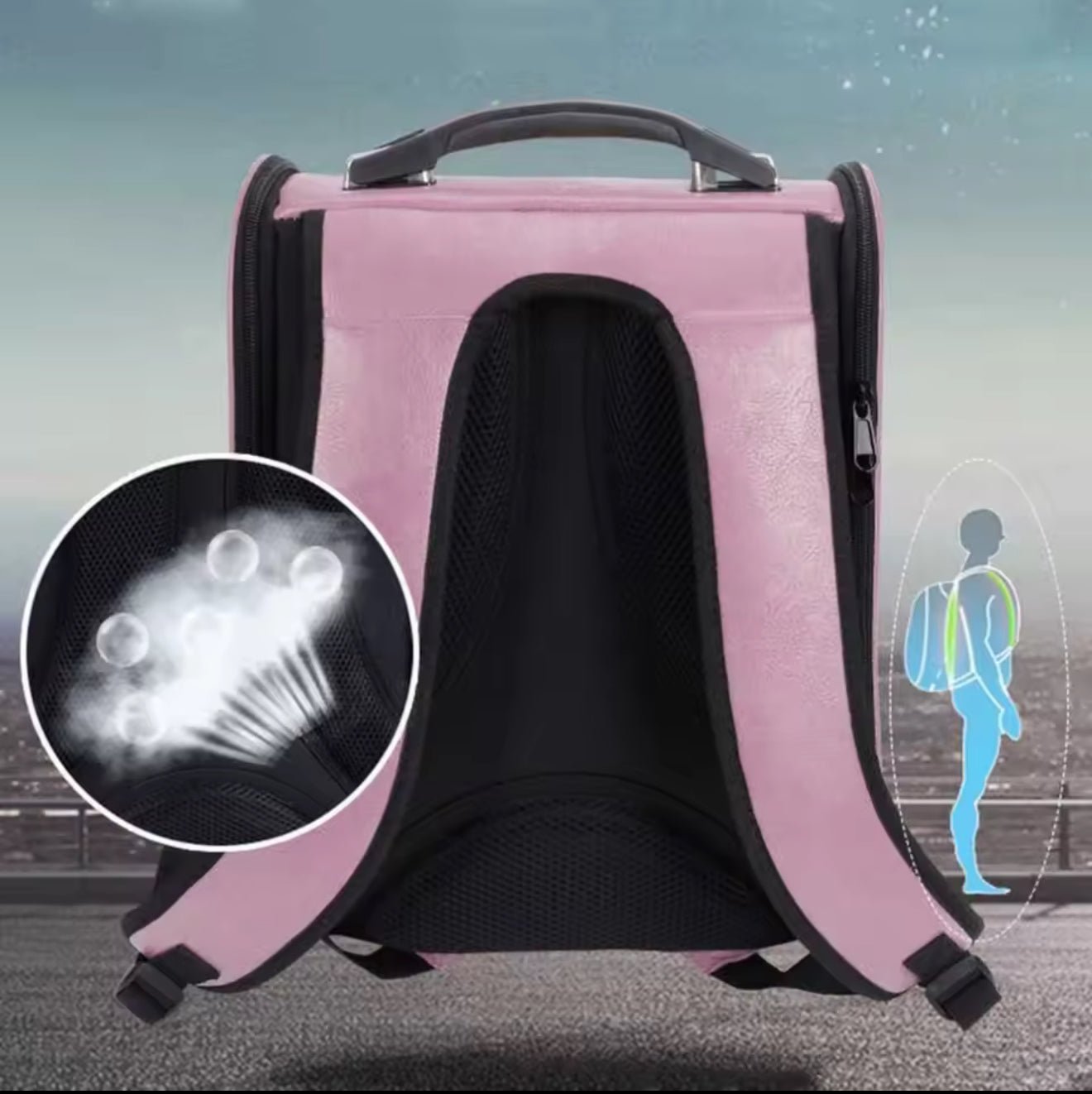 A Whole New World Pet Backpack Carrier - Always Whiskered