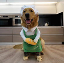 Artisan Baker Pet Costume - Always Whiskered