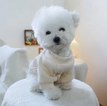 Be Mine Valentine Pet Tee - Always Whiskered