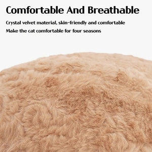 Beary Cute Pet Bed - Always Whiskered