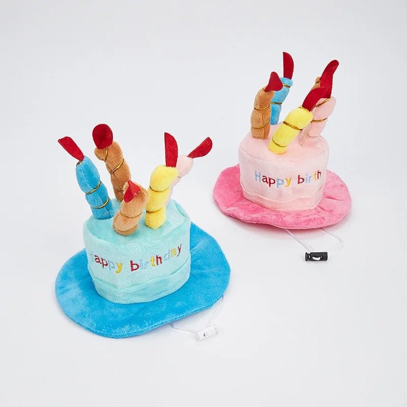 Birthday Hat - Always Whiskered