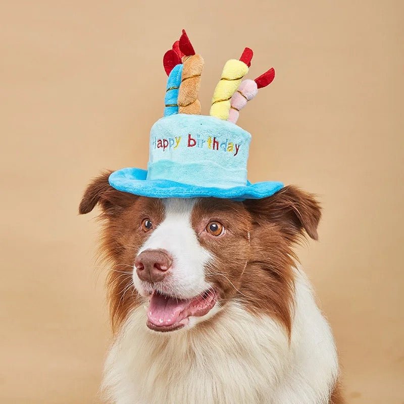 Birthday Hat - Always Whiskered