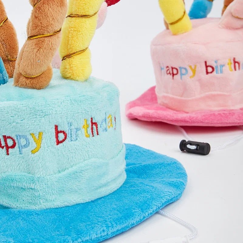 Birthday Hat - Always Whiskered