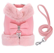 Bling Harness & Lead Set - Always Whiskered