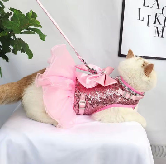 Bling Harness & Lead Set - Always Whiskered