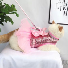 Bling Harness & Lead Set - Always Whiskered
