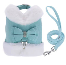 Bling Harness & Lead Set - Always Whiskered