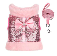 Bling Harness & Lead Set - Always Whiskered