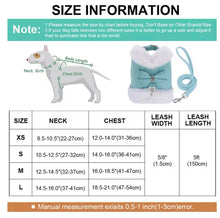 Bling Harness & Lead Set - Always Whiskered