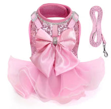 Bling Harness & Lead Set - Always Whiskered