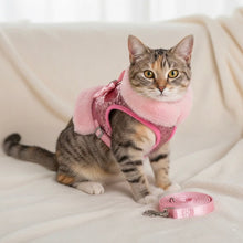 Bling Harness & Lead Set - Always Whiskered