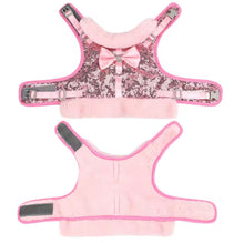 Bling Harness & Lead Set - Always Whiskered