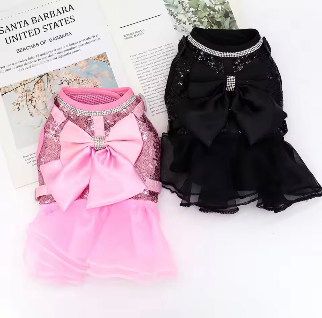 Bling Harness & Lead Set - Always Whiskered