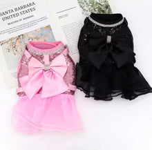 Bling Harness & Lead Set - Always Whiskered