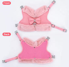 Bling Harness & Lead Set - Always Whiskered