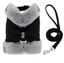 Bling Harness & Lead Set - Always Whiskered