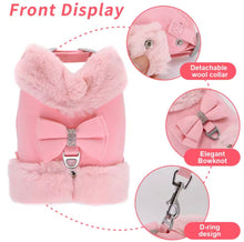Bling Harness & Lead Set - Always Whiskered