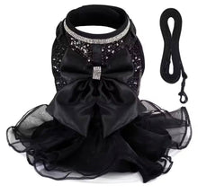 Bling Harness & Lead Set - Always Whiskered