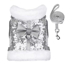 Bling Harness & Lead Set - Always Whiskered