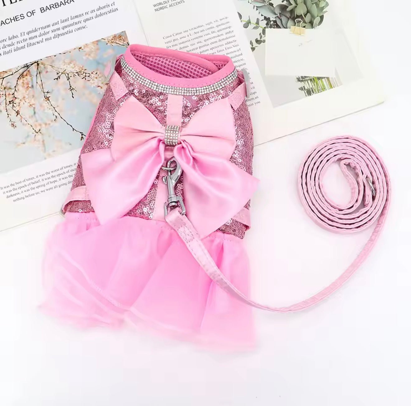 Bling Harness & Lead Set - Always Whiskered
