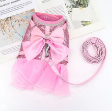 Bling Harness & Lead Set - Always Whiskered