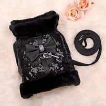 Bling Harness & Lead Set - Always Whiskered