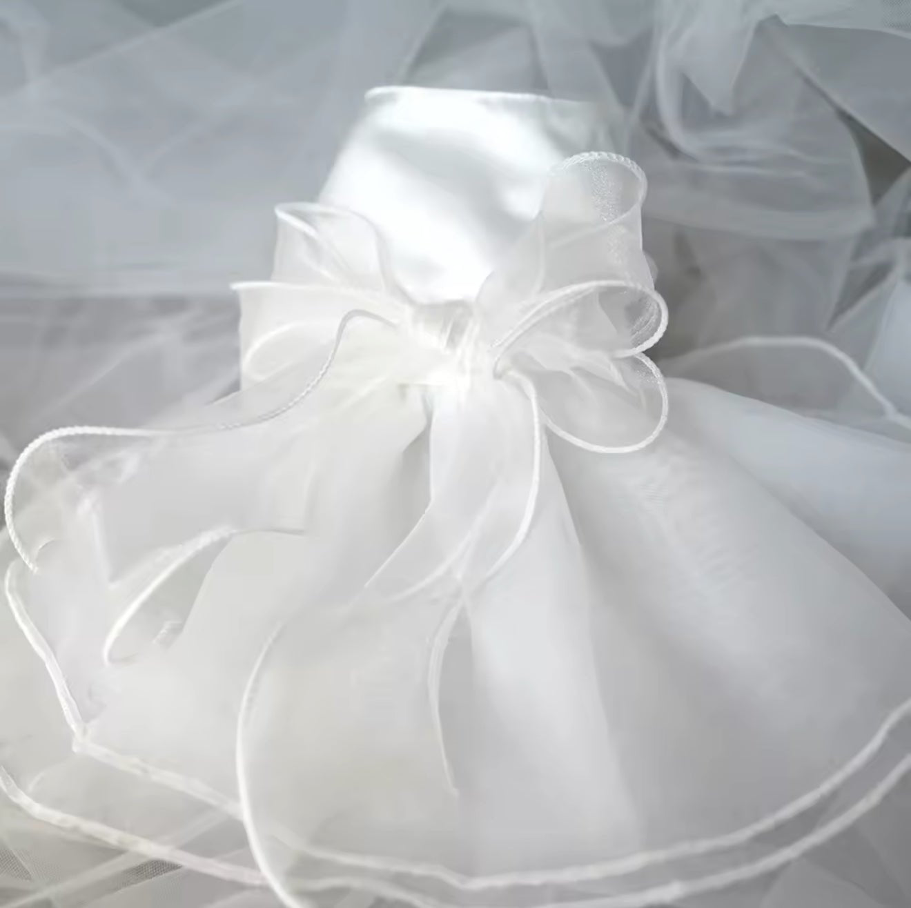 Blissful Pet Wedding Party Dress - Always Whiskered