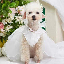 Blissful Pet Wedding Party Dress - Always Whiskered