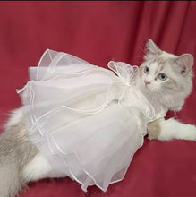 Blissful Pet Wedding Party Dress - Always Whiskered