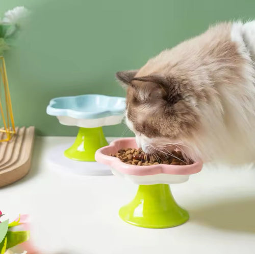 Bloom Raised Pet Bowl - Always Whiskered