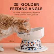 Bohemian Pet Bowl - Always Whiskered