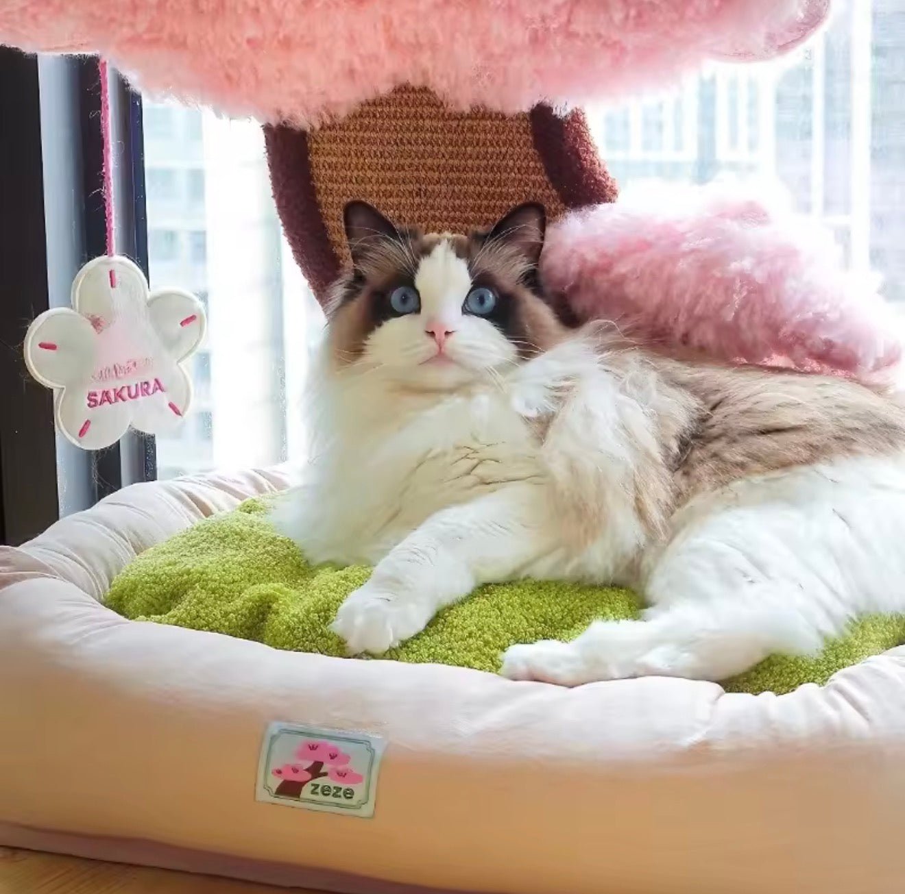 Bonsai Garden Cat Scratcher Bed - Always Whiskered